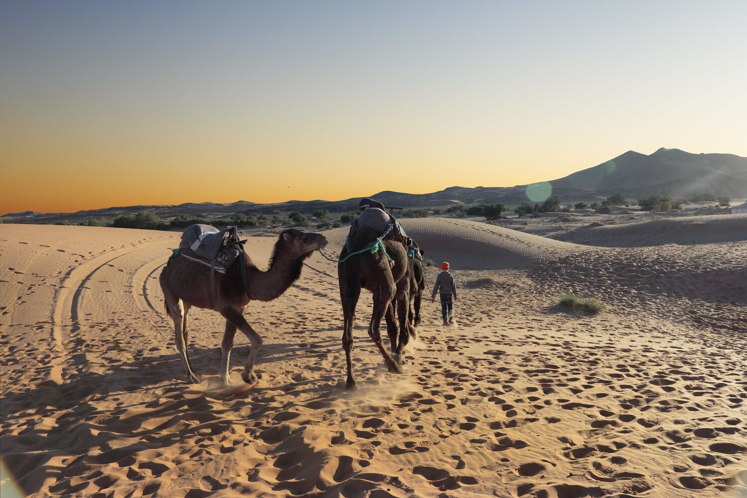 3 Dias Desde Marrakech Al Desierto De Merzouga