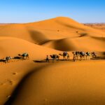 los tours 3 dias desde marrakech al desierto de dunes