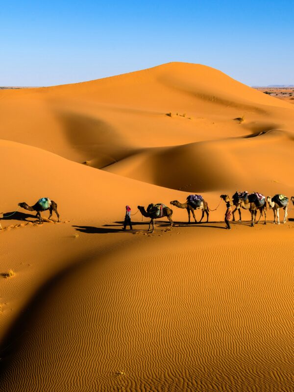 los tours 3 dias desde marrakech al desierto de dunes